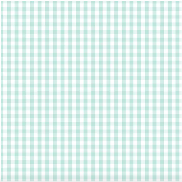 D/F Devonstone Fundamentals - Small Check Seafoam DV2874