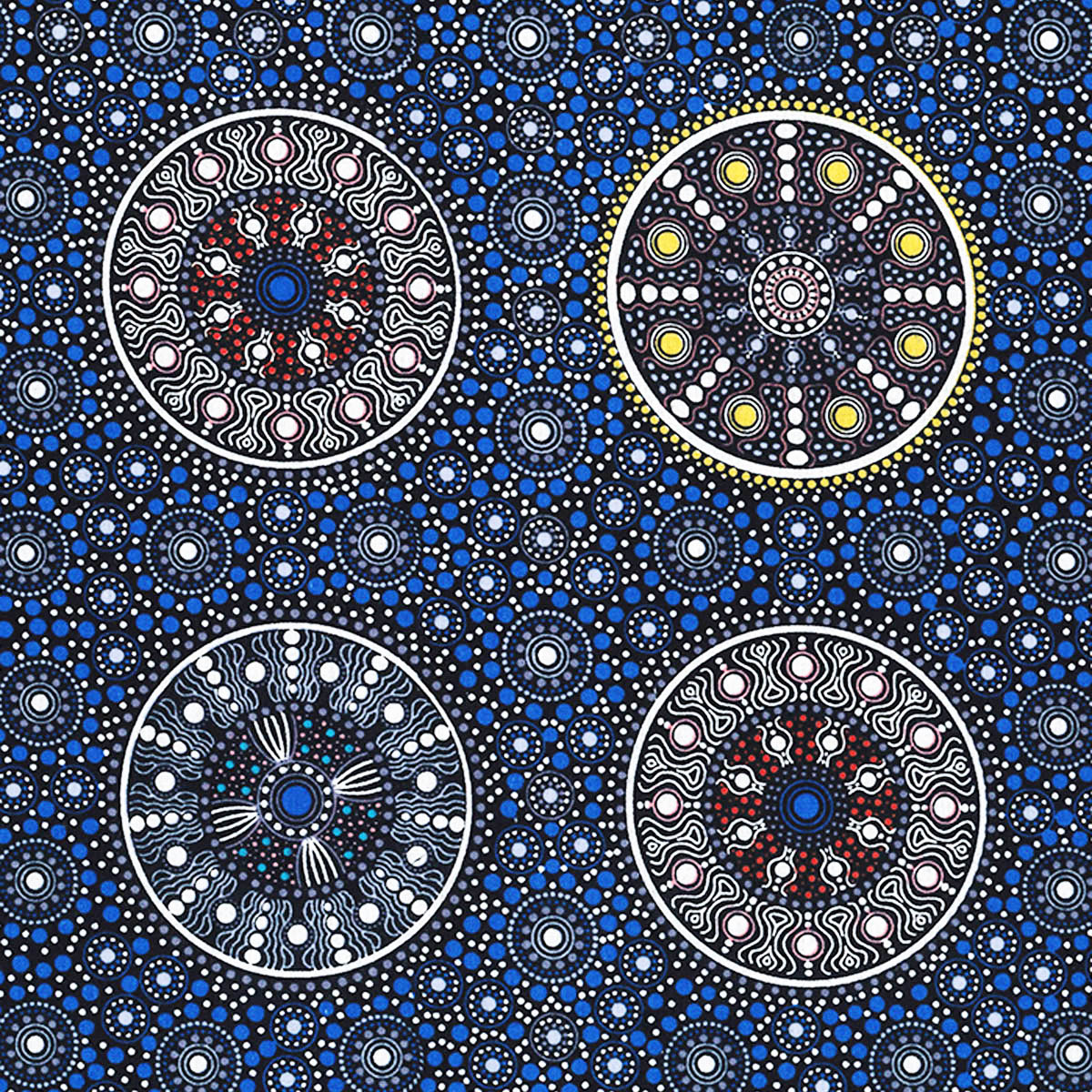 WILDFLOWERS AFTER RAIN BLUE by Aboriginal Artist LETISHA DOOLAN