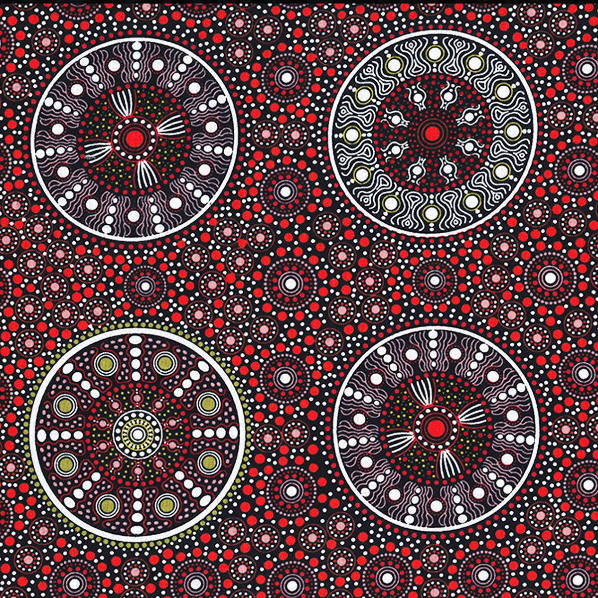 WILDFLOWERS AFTER RAIN RED by Aboriginal Artist LETISHA DOOLAN