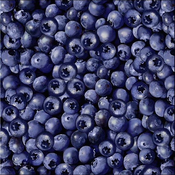 BLUEBERRIES - Blueberry Hill Collection by Bernatex