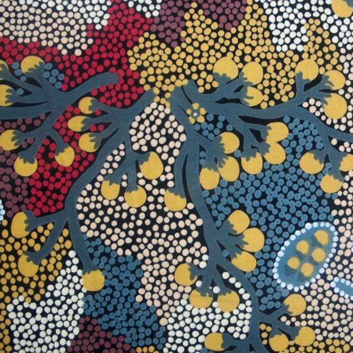 BUSH SULTANA CHARCOAL by Aboriginal Artist AUDREY NAPANANGKA