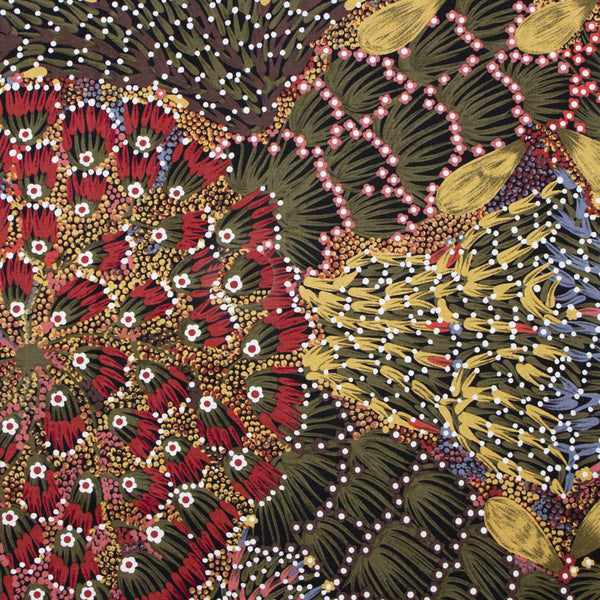 BUSH BANANA by Aboriginal Artist DONNA ABBOTT