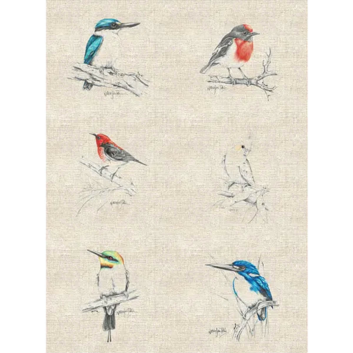 D/NJP Australian Birds #1 Panel 86cm x 137cm Linen/Cotton #DV5096