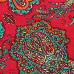 L/ LADY PAISLEY C
