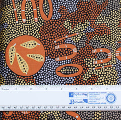 PASSION FRUIT DREAMING BROWN by Aboriginal Artist MARY NABARULLA