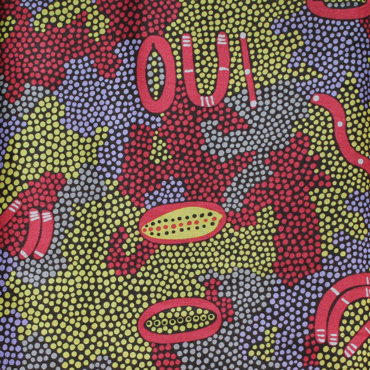 PASSION FRUIT DREAMING RED by Aboriginal Artist MARY NABARULLA