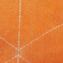 PLUM SEEDS ORANGE by Aboriginal Artist  KATHLEEN PITJARA