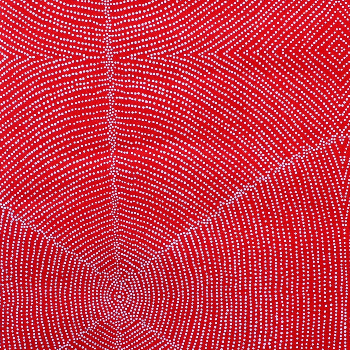 PLUM SEEDS RED by Aboriginal Artist  KATHLEEN PITJARA