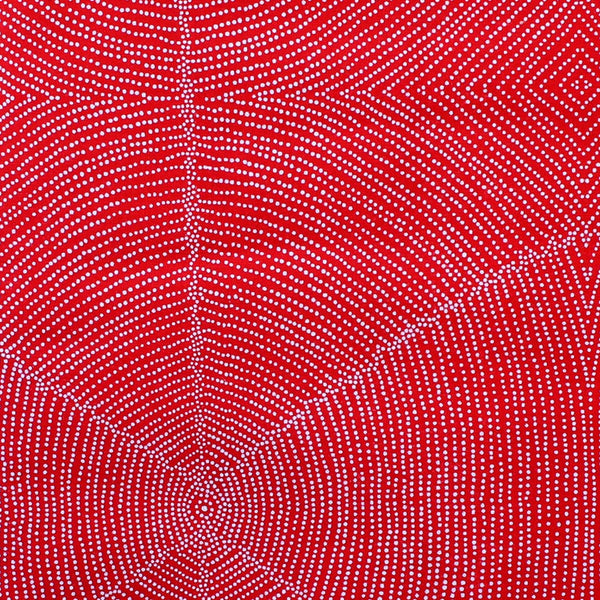 PLUM SEEDS RED by Aboriginal Artist  KATHLEEN PITJARA