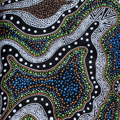 POSSUM LAND & WATER DREAMING BLUE by Aboriginal Artist HEATHER KENNEDY