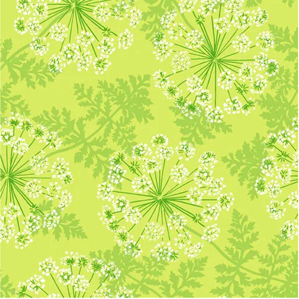 A/ Flora & Fauna QUEEN ANNE'S LACE LIME GREEN