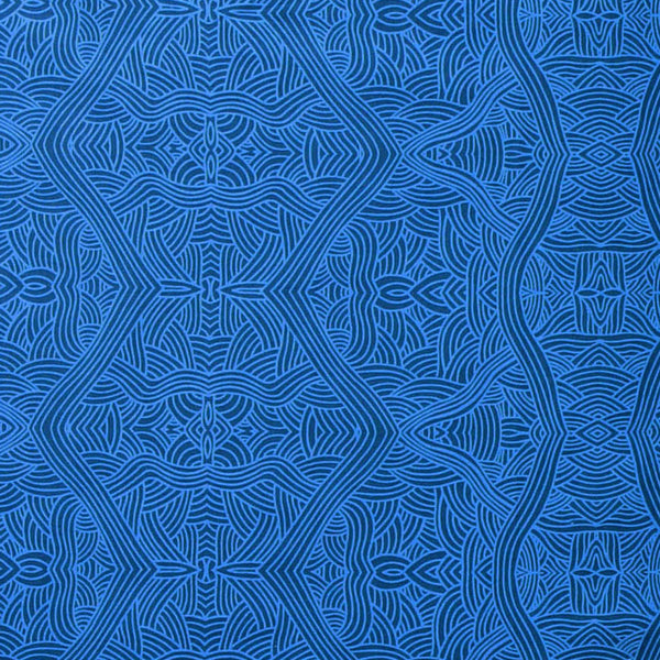 UNTITLED BLUE by Aboriginal Artist NAMBOOKA