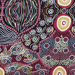 WILD COCONUT BLACK by Australian Aboriginal Artist AUDREY NAPANANGKA