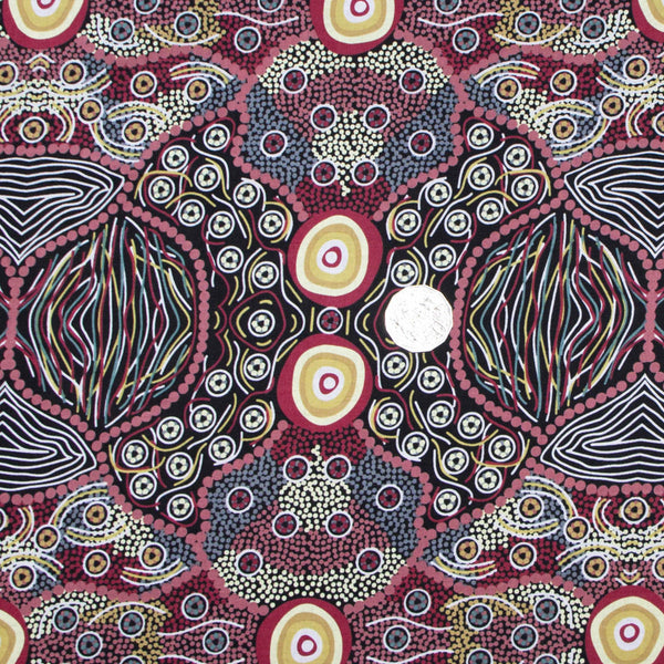 WILD COCONUT BLACK by Australian Aboriginal Artist AUDREY NAPANANGKA