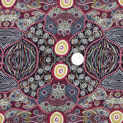 WILD COCONUT BLACK by Australian Aboriginal Artist AUDREY NAPANANGKA